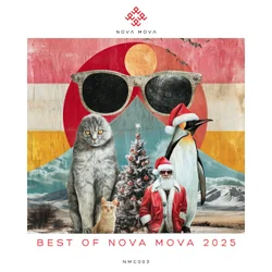 Best of Nova Mova 2025